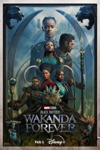 Black Panther: Wakanda Forever (2022) BluRay [Hindi & English] 1080p 720p & 480p Dual audio